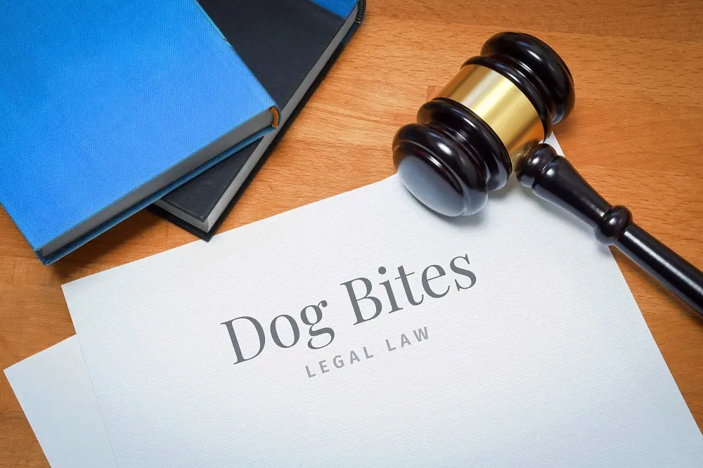 The Voorhies Law Firm